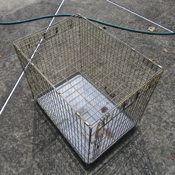 Vintage Mr. Pet Medium Sized Heavy Duty Dog Crate - Tokyo Per Co. - Picture 3 of 5